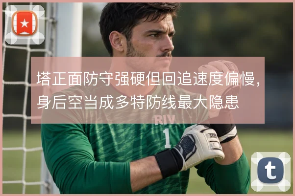 塔正面防守强硬但回追速度偏慢，身后空当成多特防线最大隐患